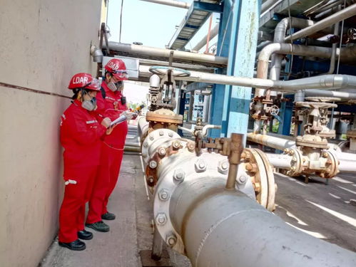 研發ldar數據采集軟件，助力天然氣處理廠高端市場開發