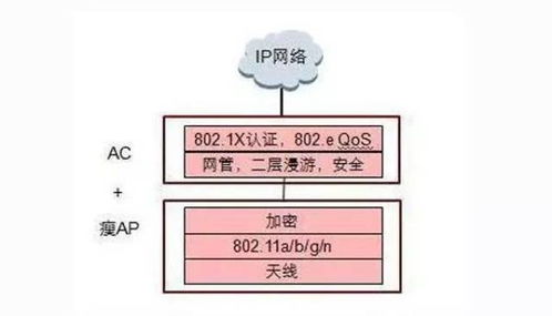 提升WiFi信號 為平面設計師打造的穩定網絡升級指南